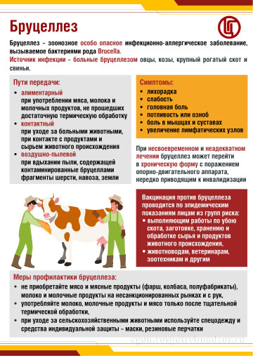ВНИМАНИЕ! БРУЦЕЛЛЕЗ! ВНИМАНИЕ! БРУЦЕЛЛЕЗ!.